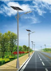 1742827545426759.jpg 西夏太阳能路灯.jpg
